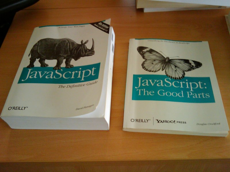 O'Reilly Javascript 的两本书